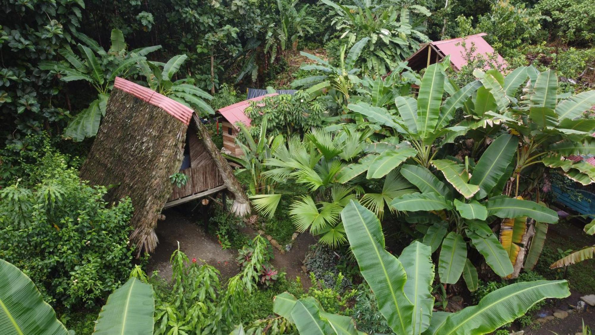 La Aldea Del Primitivo Hotel Nuquí Exterior foto